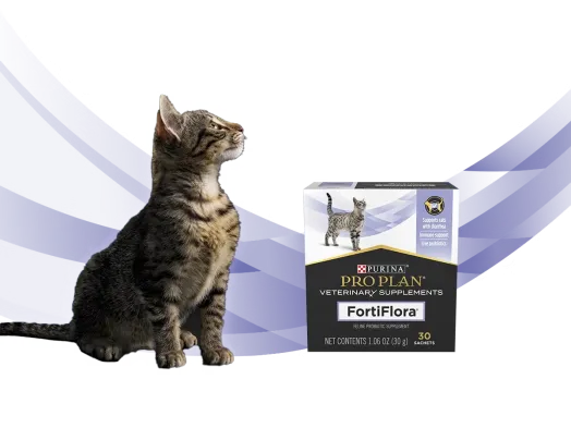 ピュリナ プロプラン ベテリナリーダイエット 猫用サプリメント